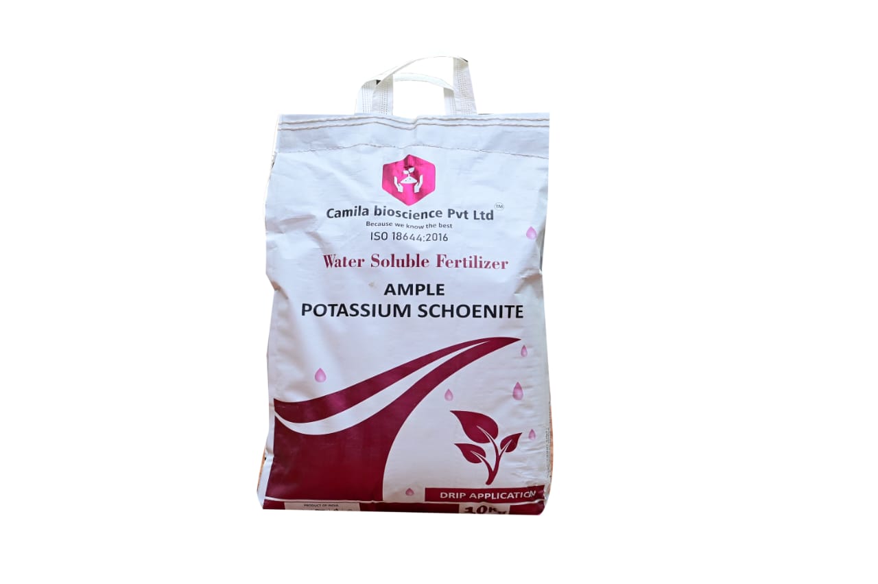 Ample
Potesium Schoenite